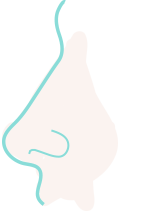 Nez